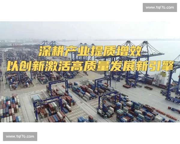 企业技术创新驱动下的高质量发展与产业升级路径探索